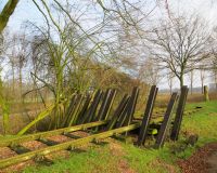 Asperges van Mill Mill 2