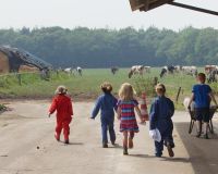 Vermeulen melkvee en educatie Sint Hubert 3